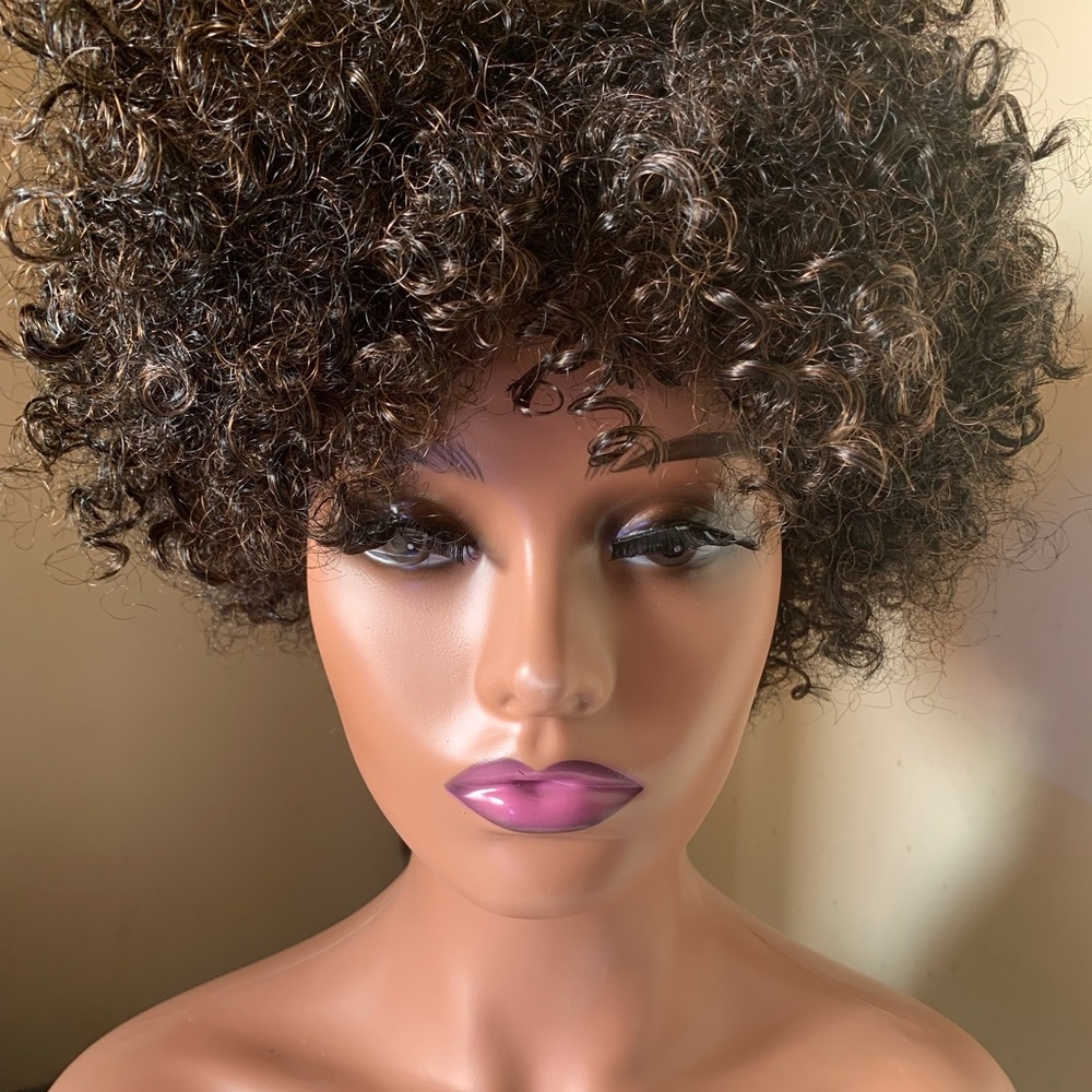 Curly Afro Wig